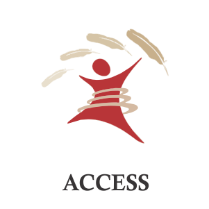 access asets